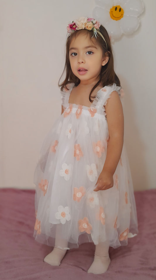 Daisy embroidered tutu dress